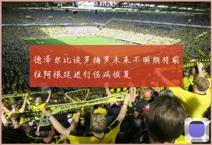 德泽尔比谈罗梅罗未来不明朗将前往阿根廷进行伤病恢复